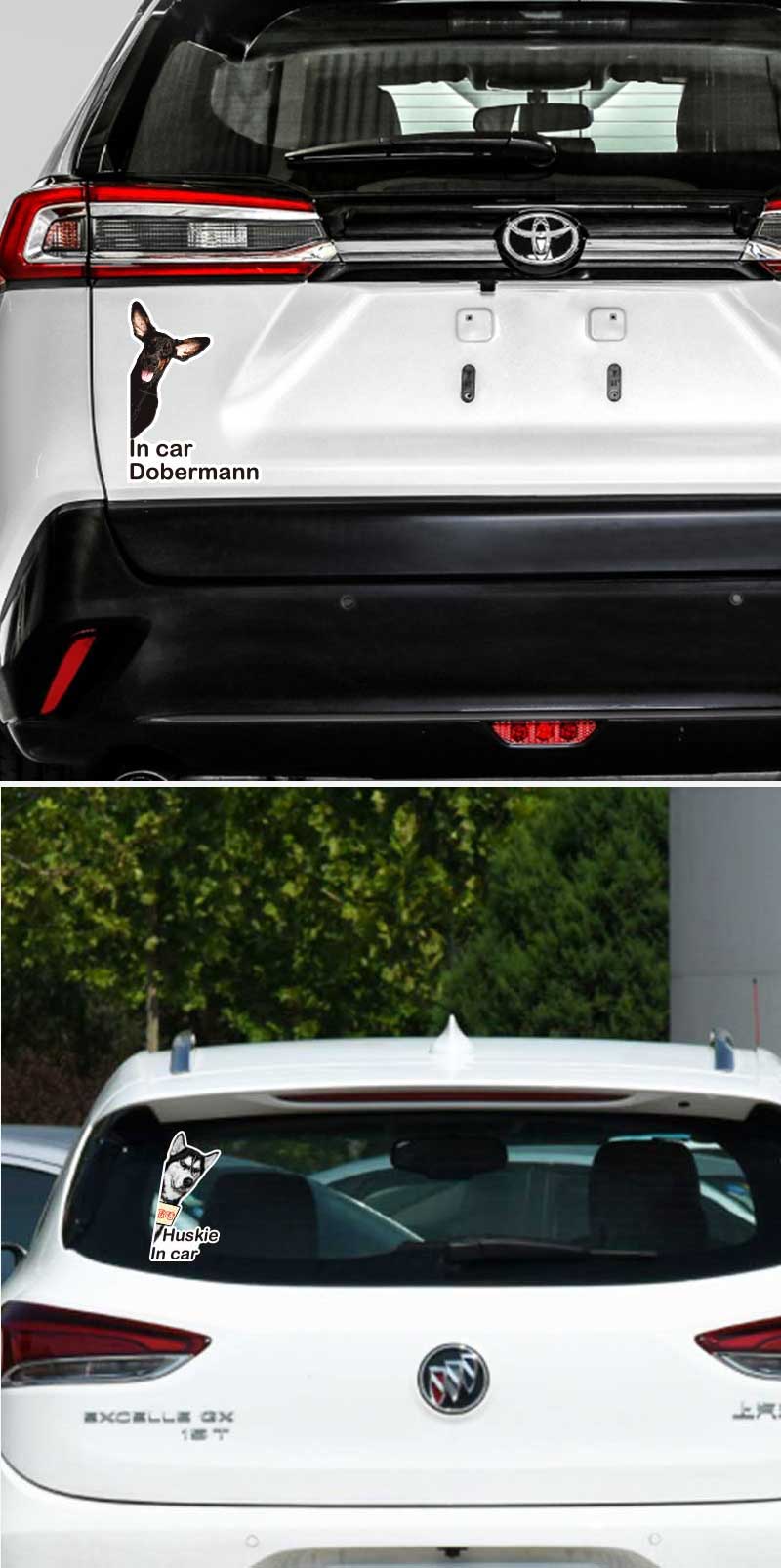 cat in car sticker
