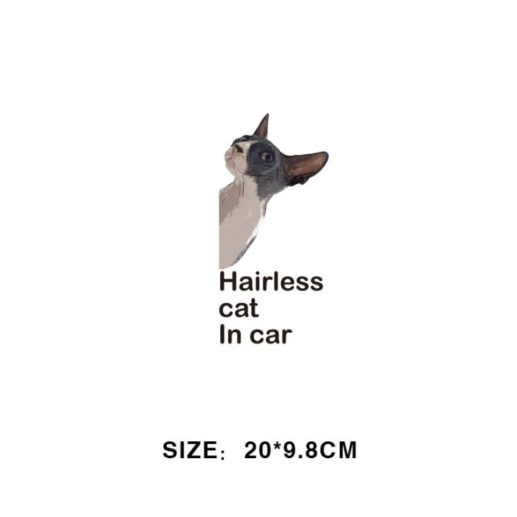 Cat Car Sticker