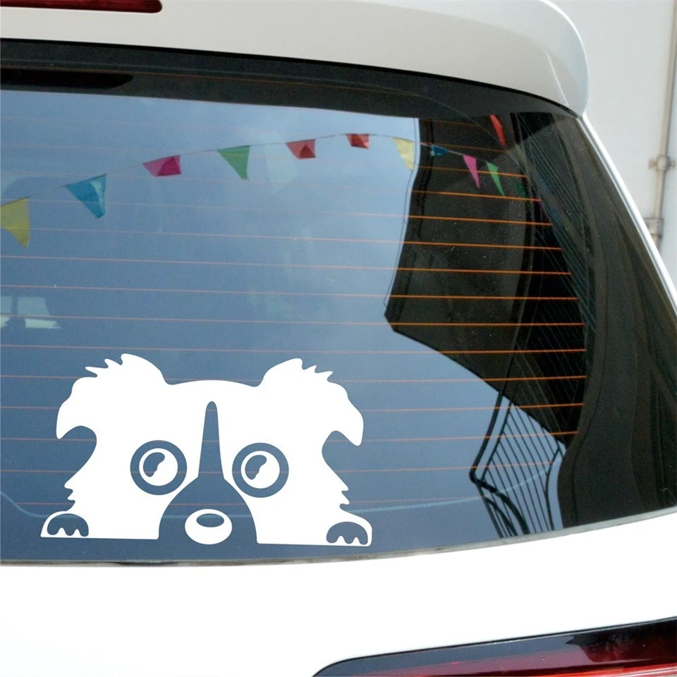 Vinyl Decal Sticker For Car Window