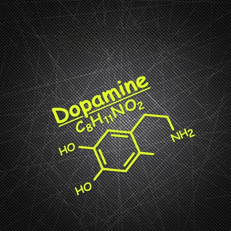 Motorcycle Stickers Dopamine C8H11NO2 Decals best