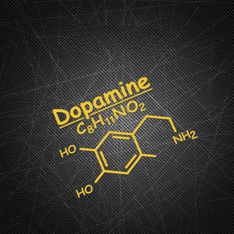 Motorcycle Stickers Dopamine C8H11NO2 Decals high quality