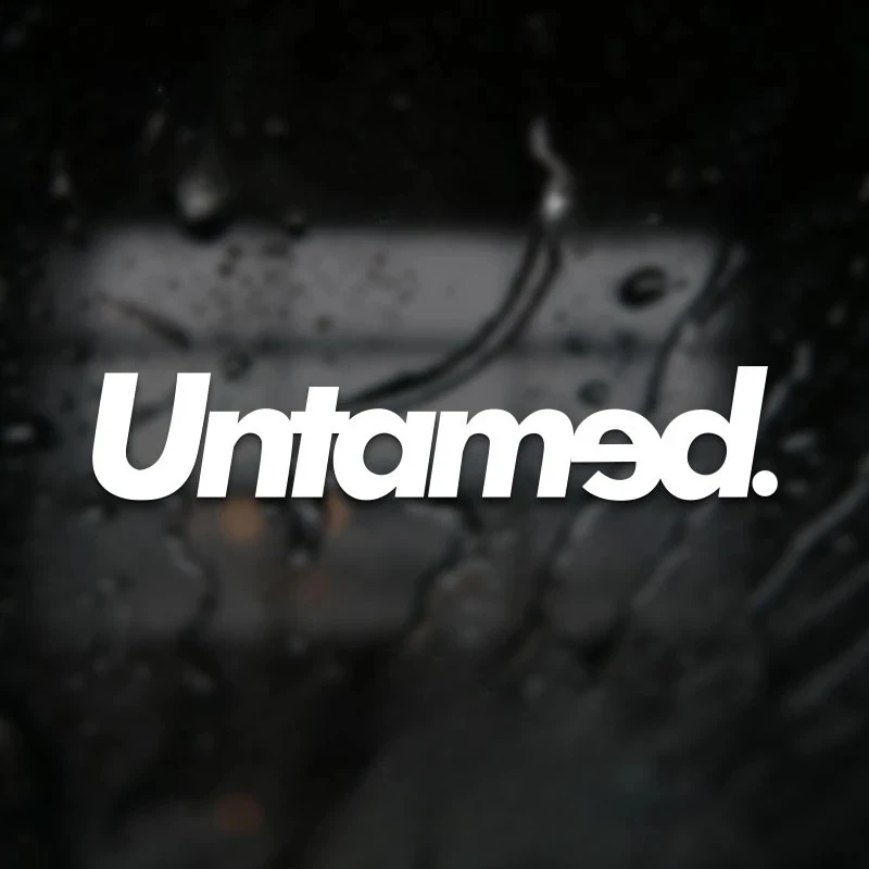 Untamed Car Front Rear Windows Stickers high quality